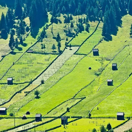 Nimfa Penzion Păuleni-Ciuc